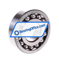 SKF 1306ETN9/C3