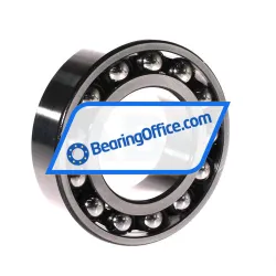 NSK 2213ETNGC3 rulman resim 2