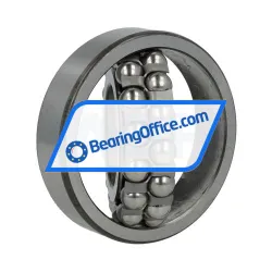 ZKL 1309K NF rulman resim 3