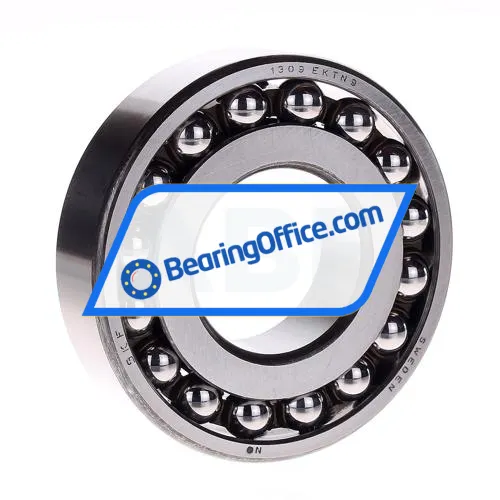 SKF 1309EKTN9