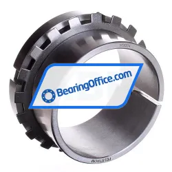 Felstrom H3024 rulman resim 3