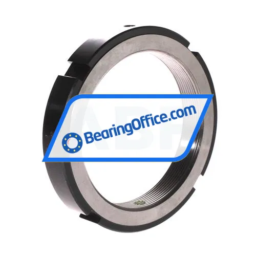 INA ZM100 bearing image 3