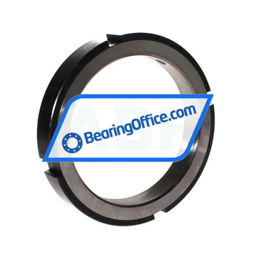 INA ZM125 bearing image 2
