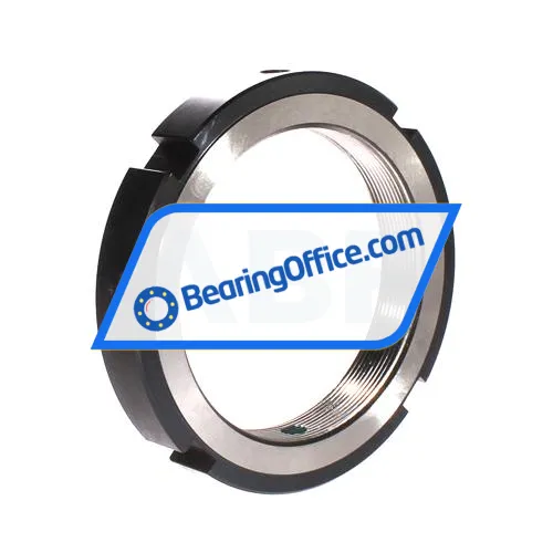 INA ZM105 bearing image 3
