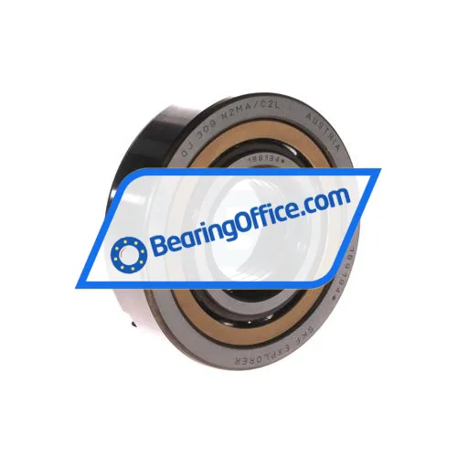 SKF QJ309N2MA/C2L