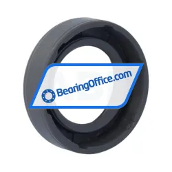 SKF 25X40X10HMS5RG rulman resim 2