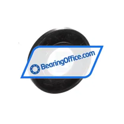 TOK SC18X38X5 rulman resim 2