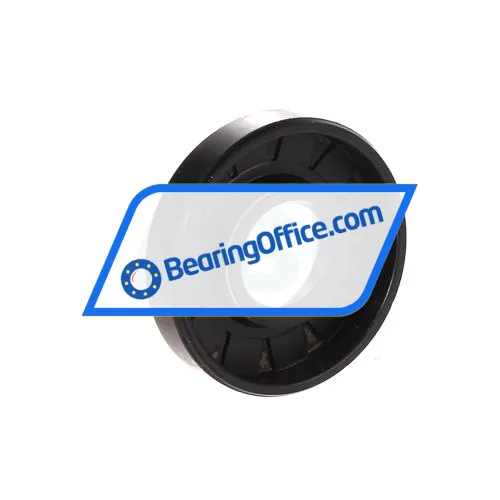 FP 19X47X10G bearing image 2