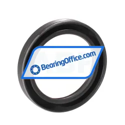 SKF 48X65X10HMS5RG rulman resim 2