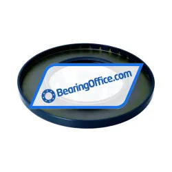 Freudenberg BAU6SLX2-100X180X12 rulman resim 2