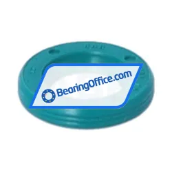 NAK Sealing Technologies VG1 10X17X3